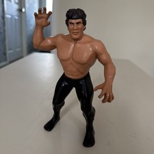 Vintage 1986 LJN WWF Ricky The