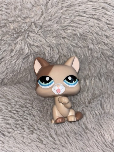 Littlest pet shop - shop, and