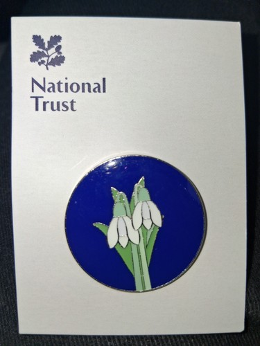 National trust kingston lacy - national,