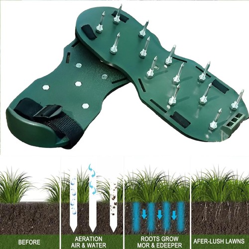 Lawn grass aerator aerating - grass,