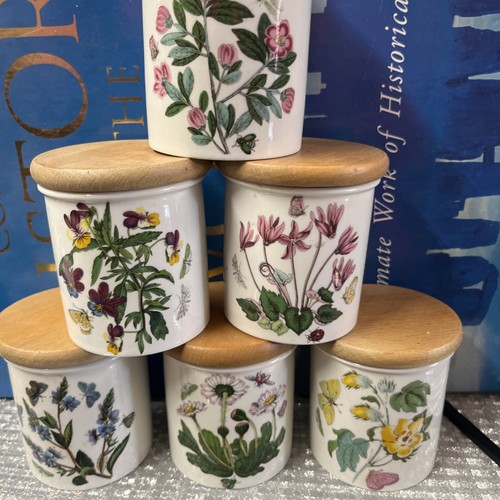 Portmeirion botanic garden set - portmeirion,
