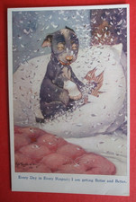 Studdy comic dog - dog, bandage