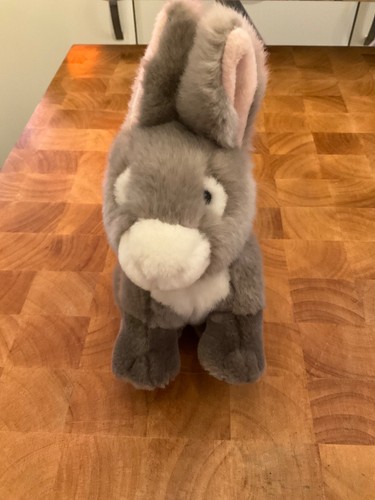 Lovely small donkey - lovely, cuddly