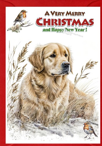 Golden retriever dog - dog, (4"x6")