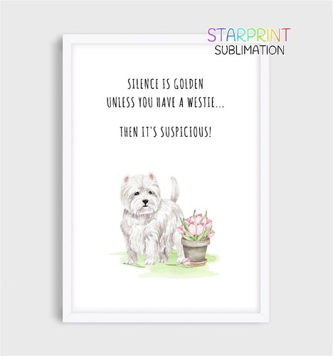 West highland white terrier - white,