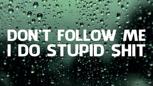 Don follow car decal - follow,