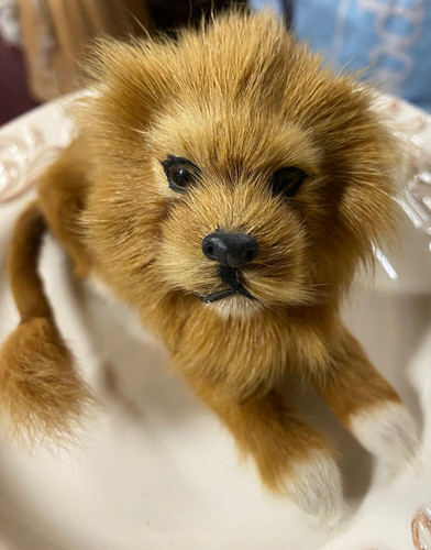 Vintage animal fur - laying, lion