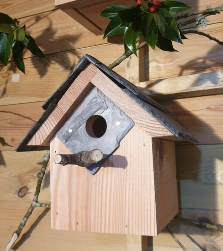 Bird house nest box - nest,