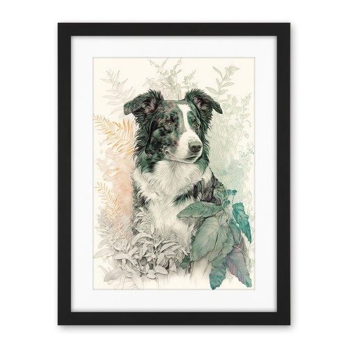 Border collie dog field colour - collie,