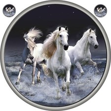 HORSES SPARE WHEEL COVER