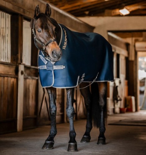 Horseware rambo airmax cooler - horseware,
