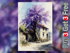 Jacaranda Purple Tree