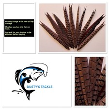 Cock Pheasant Cut Tail