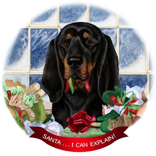 Black tan coonhound - coonhound, dog