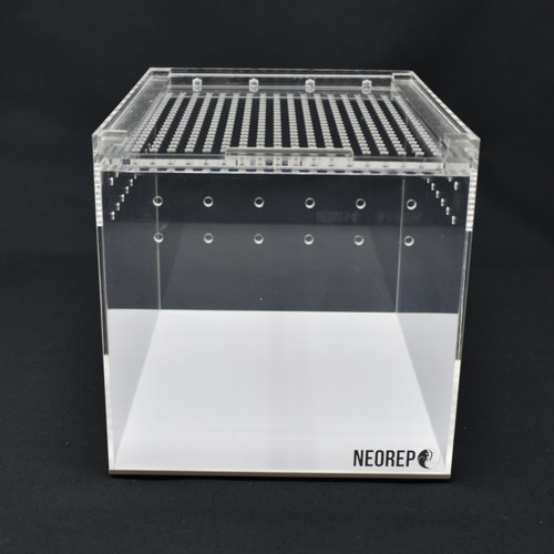 Neorep acrylic reptile - acrylic,