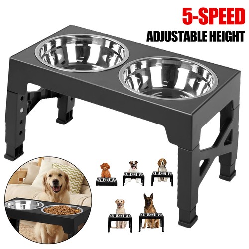 Large dog food feeding - dog,