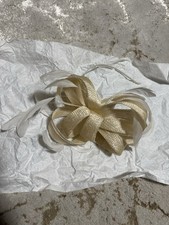 Champagne gold feather