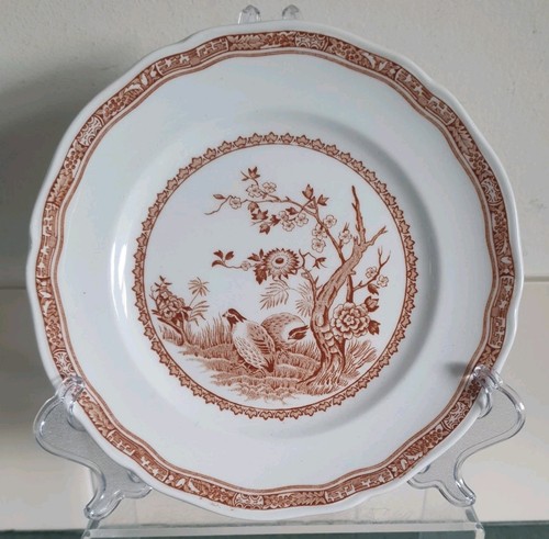 Furnivals quail brown - 1, (one)