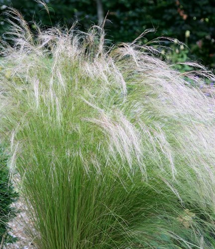 Pony tail grass plug - tail, x
