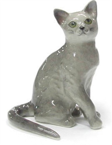 Northern rose cat - rose,