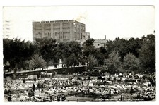 NORFOLK - CATTLE MARKET &