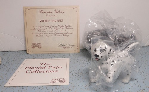 Princeton gallery playful pups - princeton,