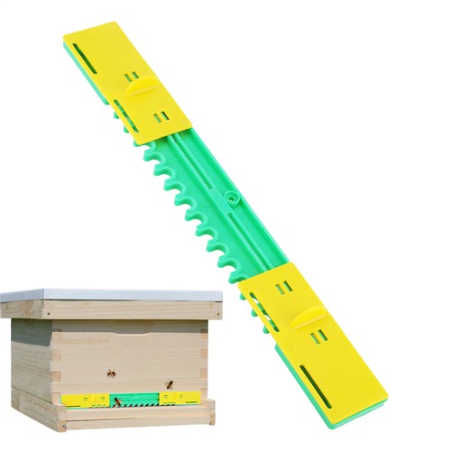 Beehive ant barrier - ant,