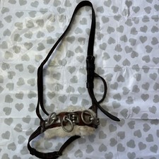 English Leather Full Lunging