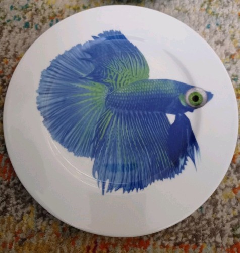Ikea blue green beta betta - blue,