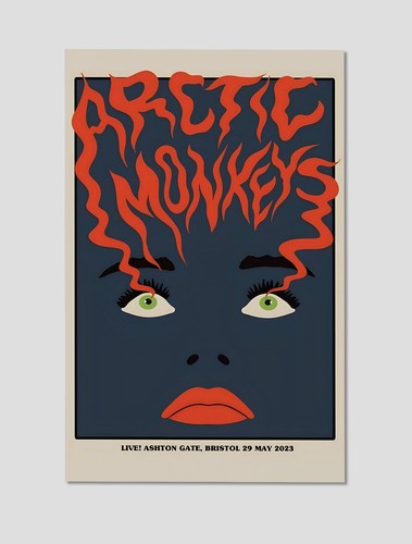 Arctic monkeys ashton gate - arctic,