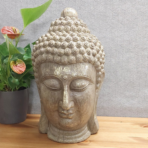 Unusual buddha head indoor - head",
