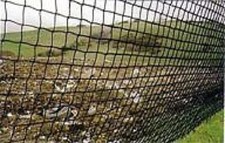 Cricket net 50mm - ,