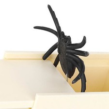 Spider box favorable simple - spider, to