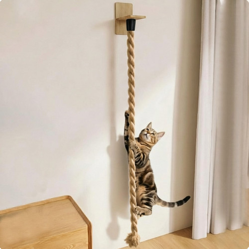 Cat wall mounted furniture - mounted,