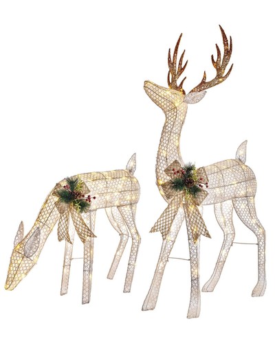 Pre lit reindeer pair - 3d,