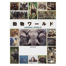 Animal World Photo Collection