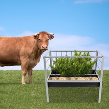 Livestock Feed Trough 2-in-1
