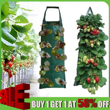 Fabric Wall Hanging Planting