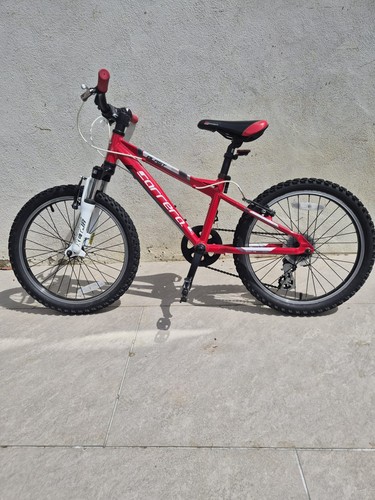 Carrera kids mountain bike - mountain, 20