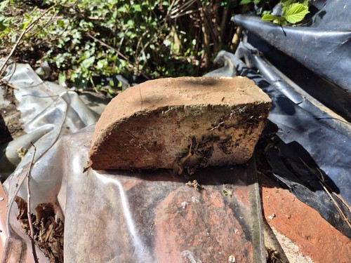 Used reclaimed bricks - used, inch
