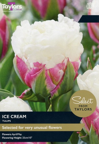 Taylors tulip bulbs ice - taylors,