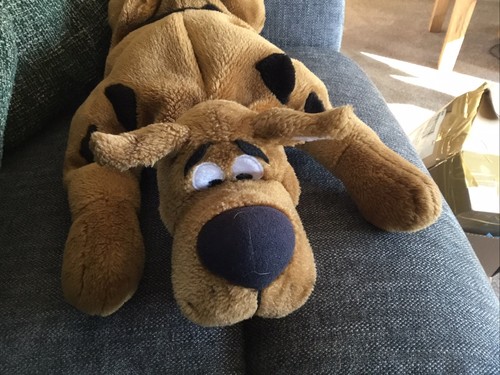 Talking scooby doo soft toy - talking,