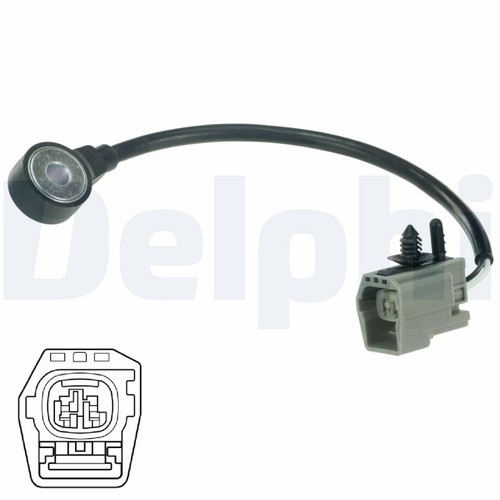 As10200 delphi knock - delphi,