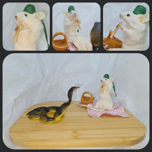 Anthropomorphic taxidermy - anthropomorphic,