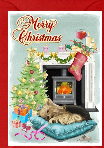 Yorkshire terrier yorkie dog - /,