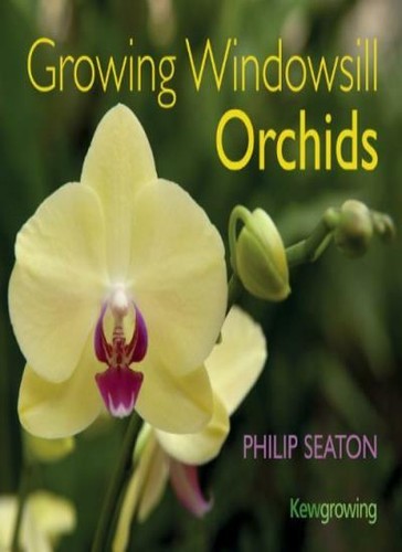 Growing windowsill orchids - windowsill,