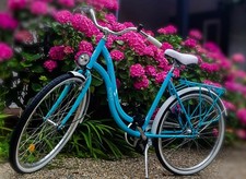 Ladies City Bike Romet Angel 3