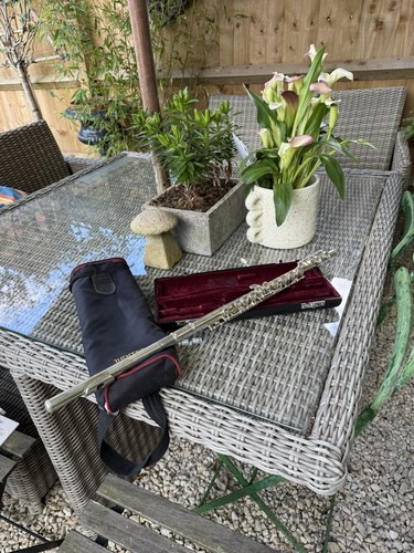 Jupier flute and case - case,