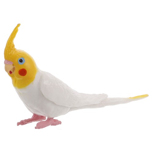Simulation parrot model - simulation,