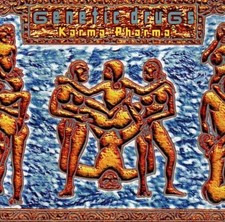 Genetic Drugs Karma Pharma